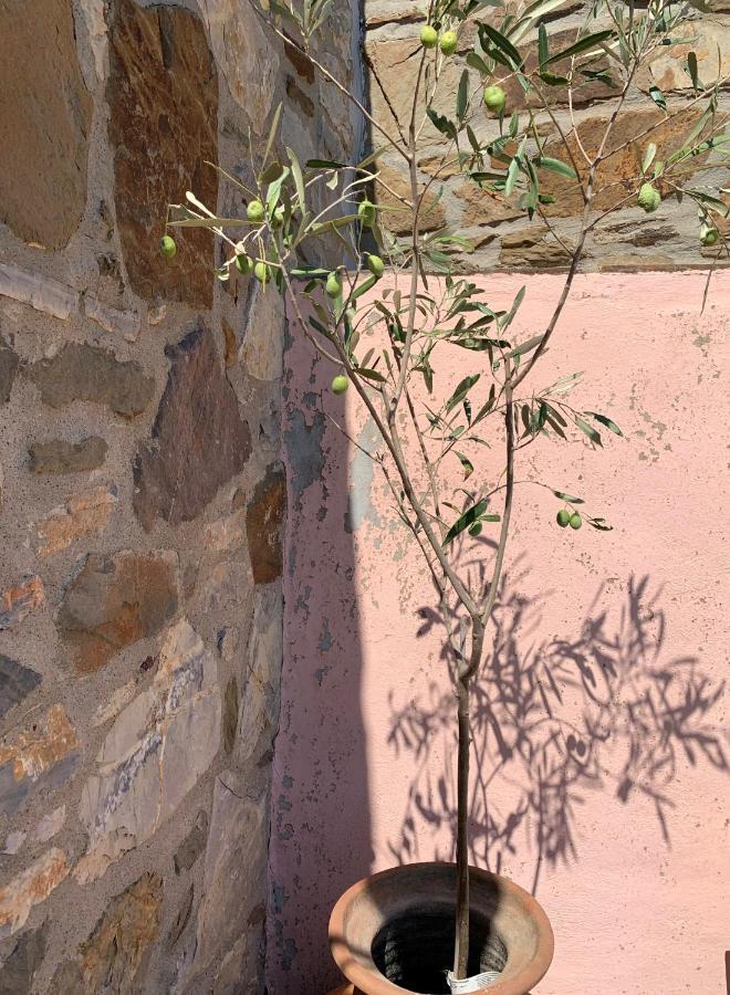 Lithos Homes Volissos Buitenkant foto