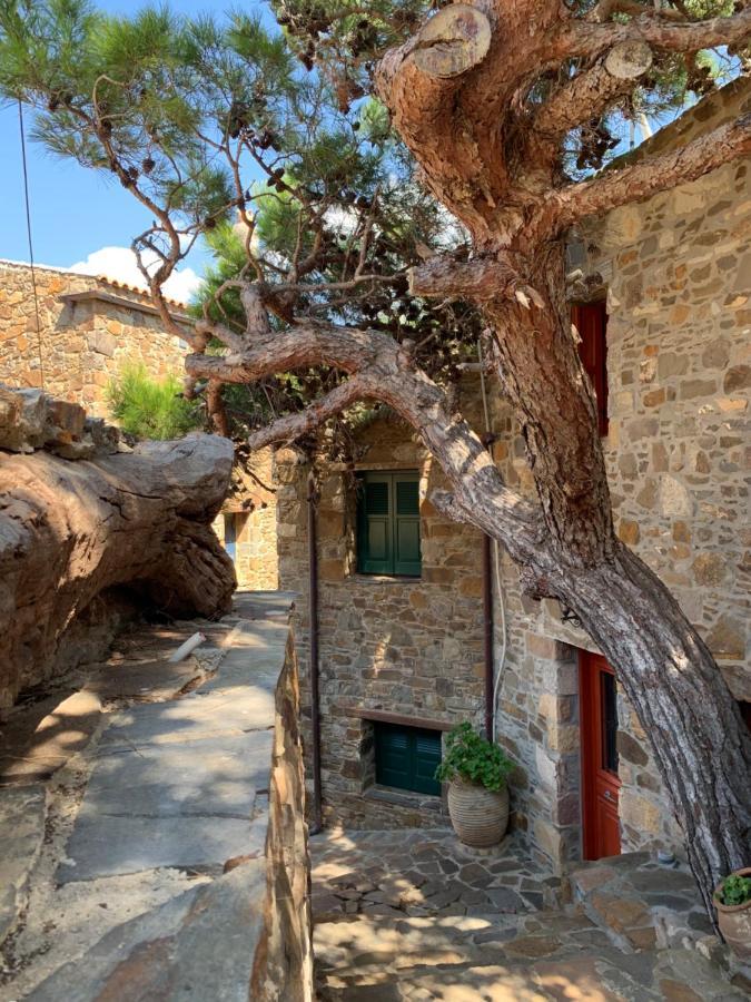 Lithos Homes Volissos Buitenkant foto